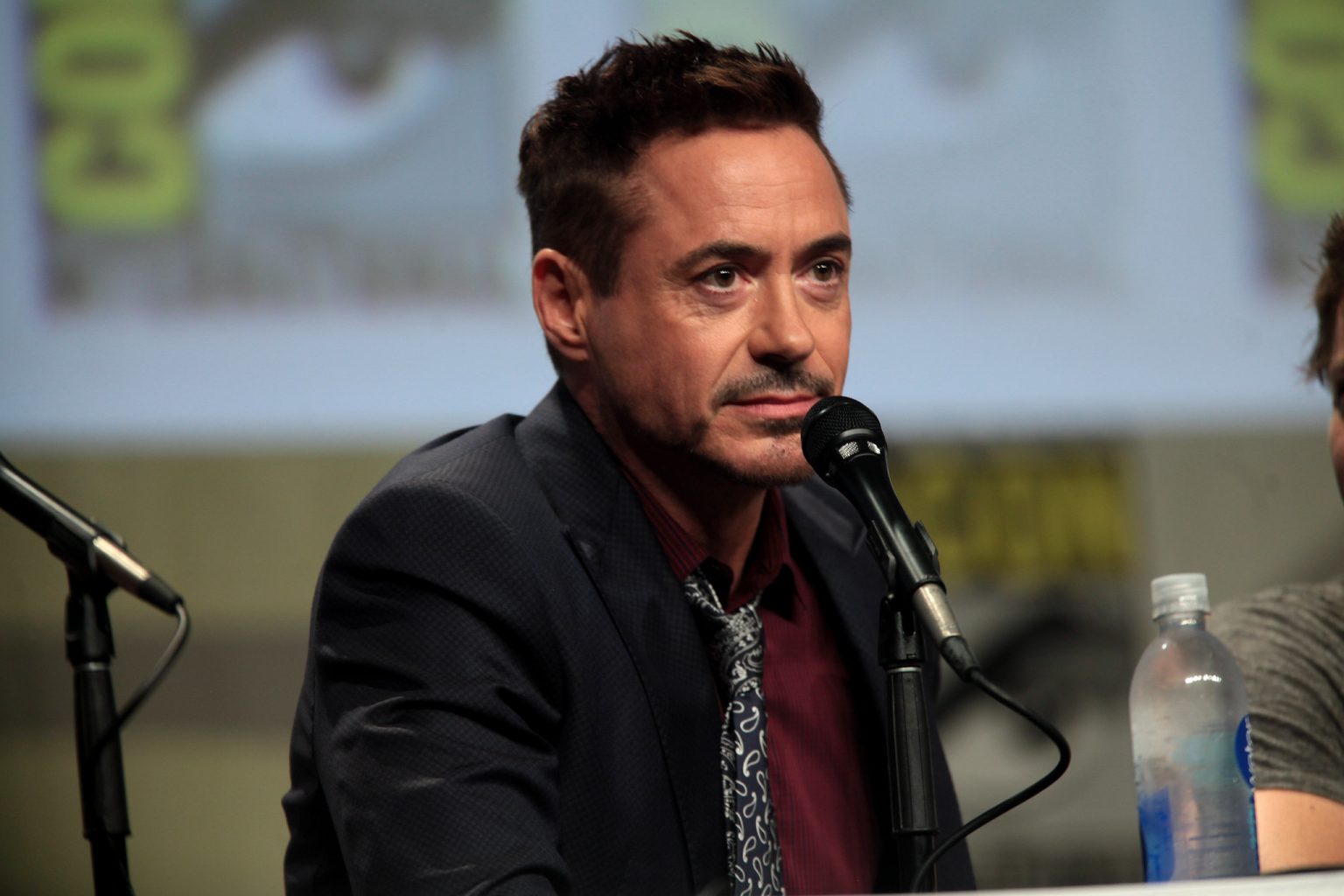 Robert Downey